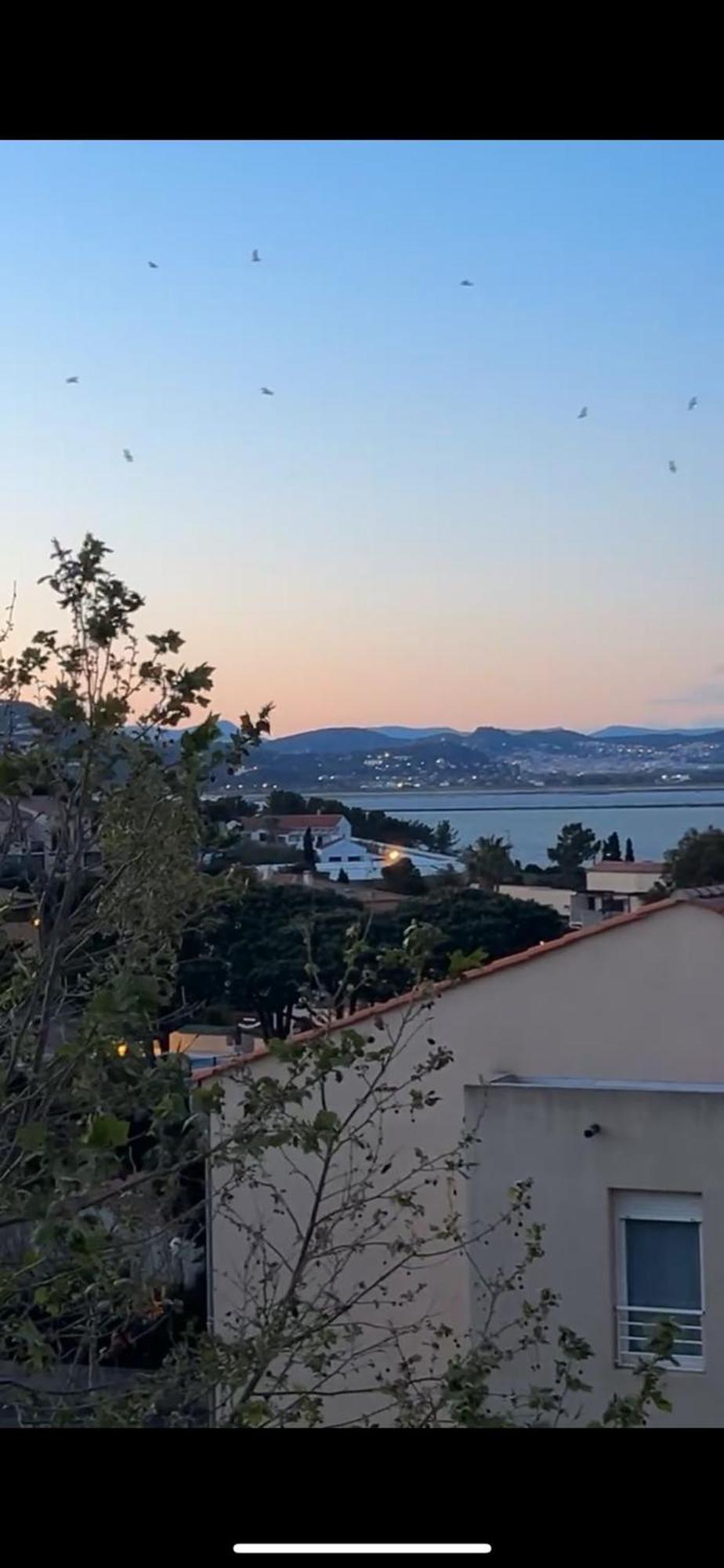 Superbe Duplex Refait A Neuf ! Hyères Exterior foto